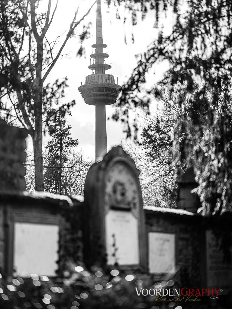 Hauptfriedhof / Jüdischer Friedhof Mannheim