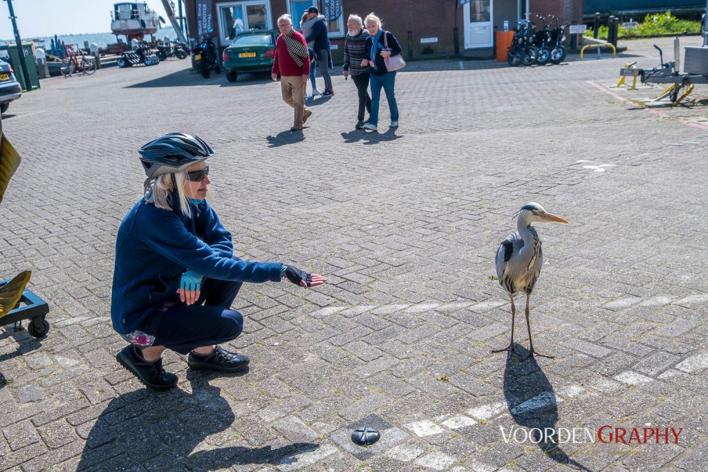 2022 Buntes Holland