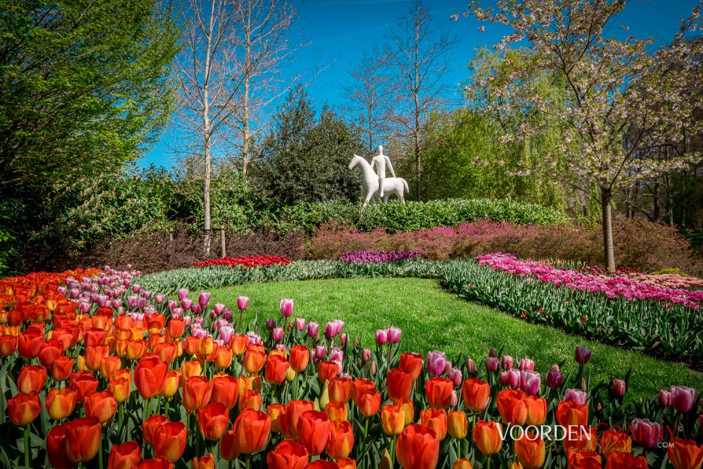 2022 Buntes Holland