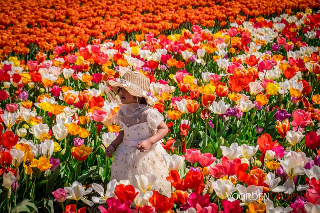 2022 Buntes Holland