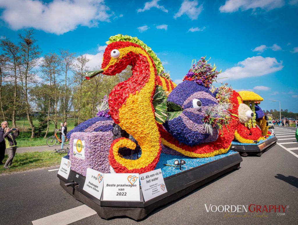 2022 Buntes Holland