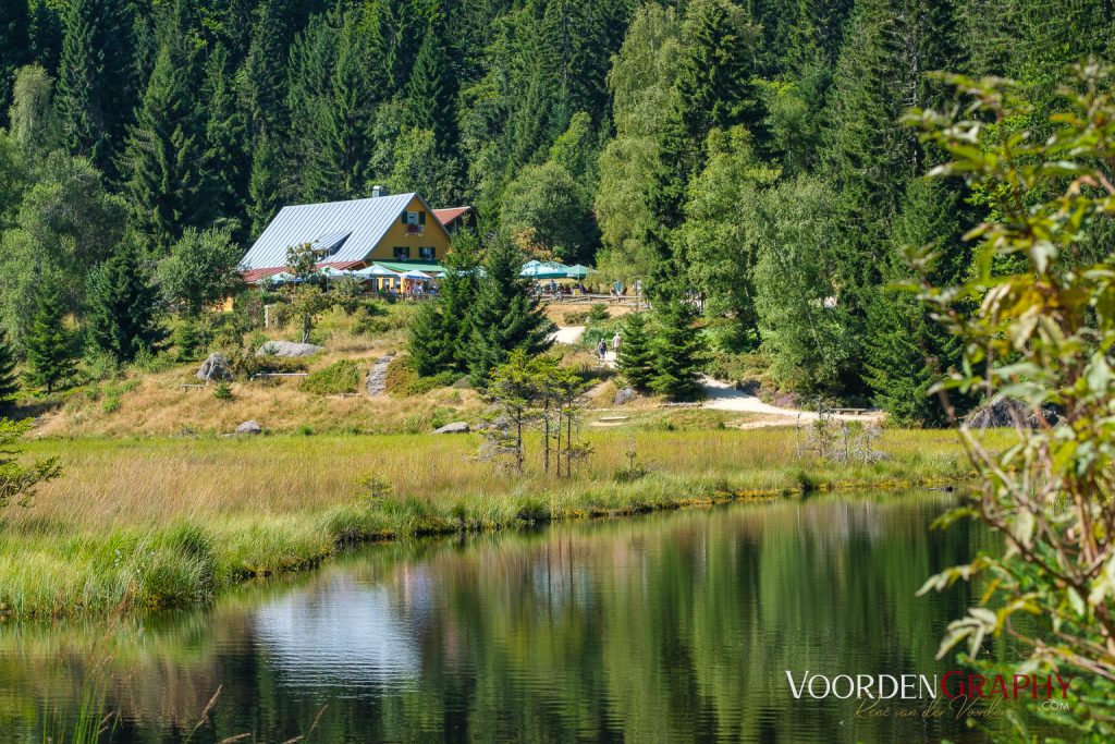 Rund um den kleinen Arbersee