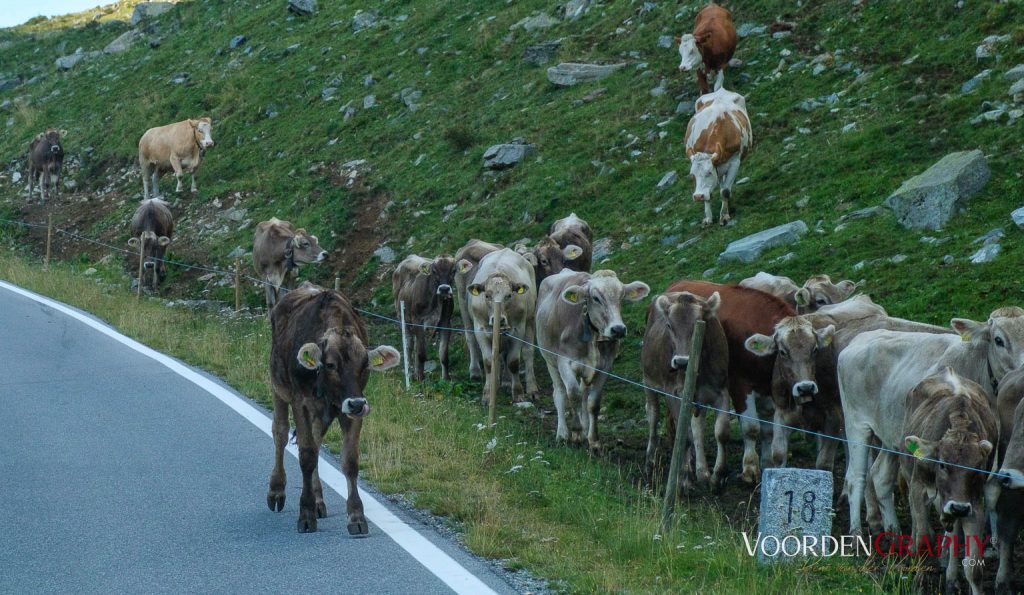 Silvretta Hochalpenstraße