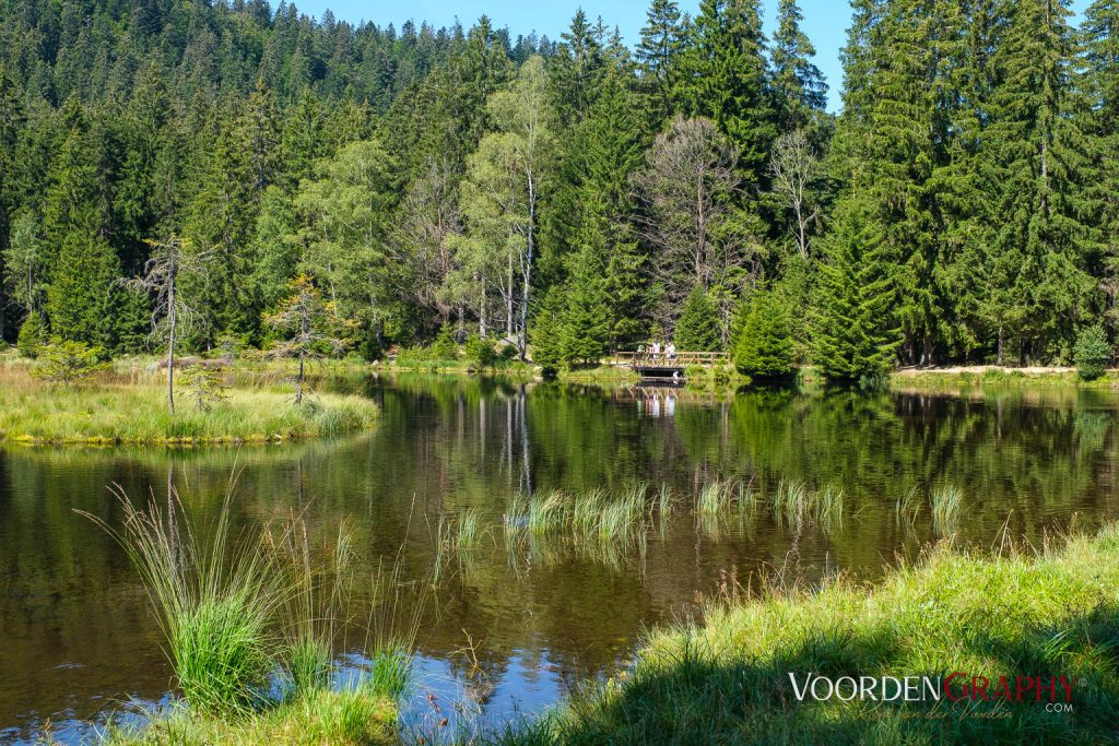 Rund um den kleinen Arbersee