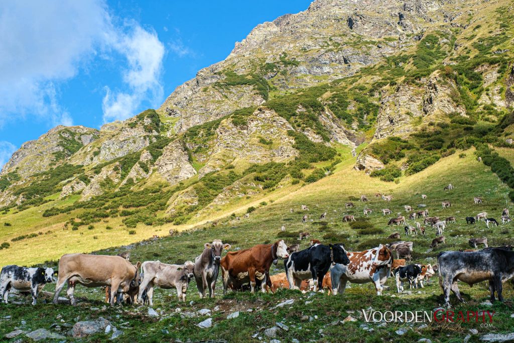 Silvretta Hochalpenstraße