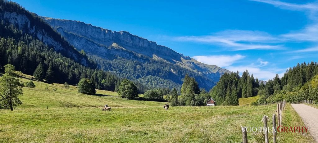 MTB-Tour ins Kleinwalsertal (Handyaufnahme)