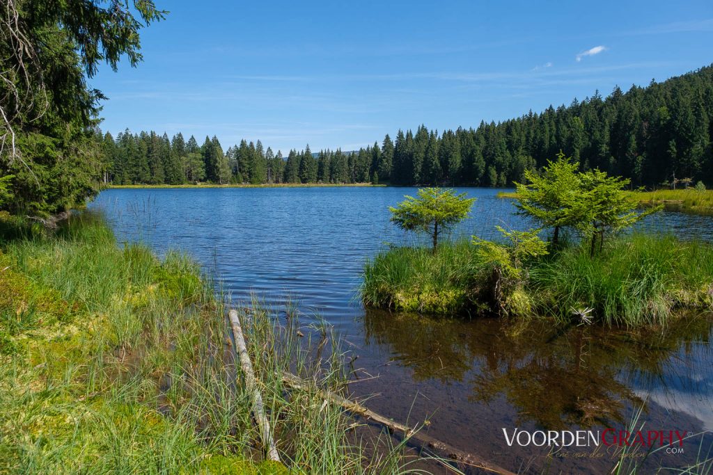 Rund um den kleinen Arbersee