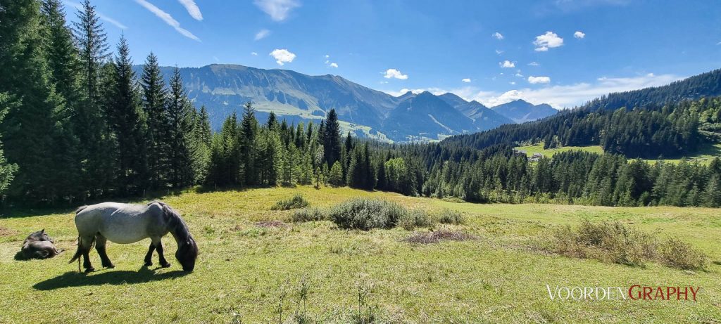 MTB-Tour ins Kleinwalsertal (Handyaufnahme)