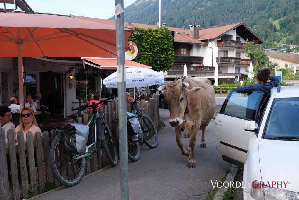 Viehtrieb Oberstdorf