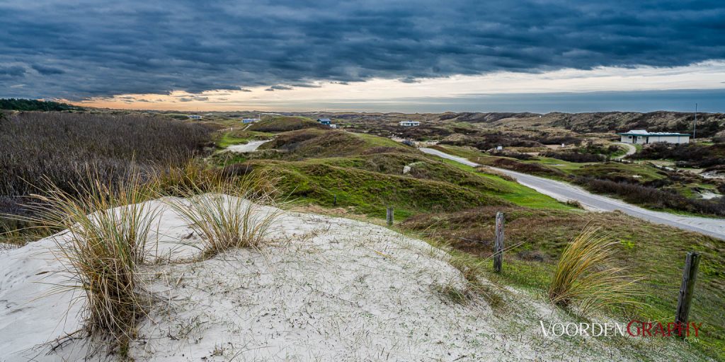 Texel