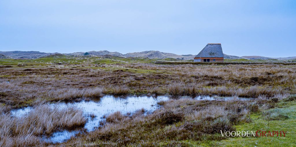 Texel