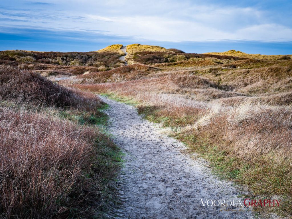Texel