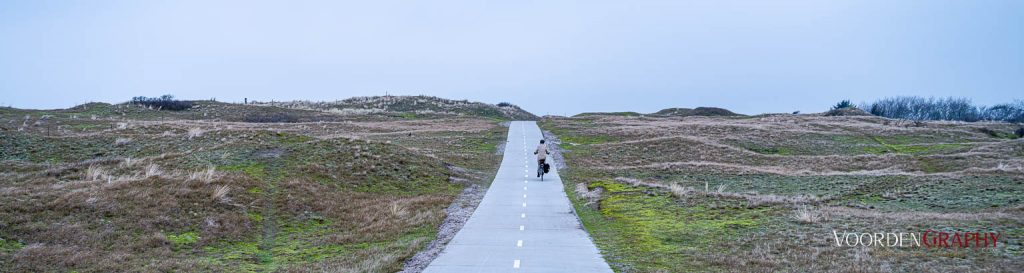 Texel