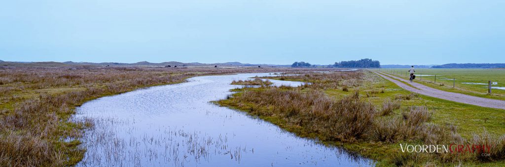 Texel