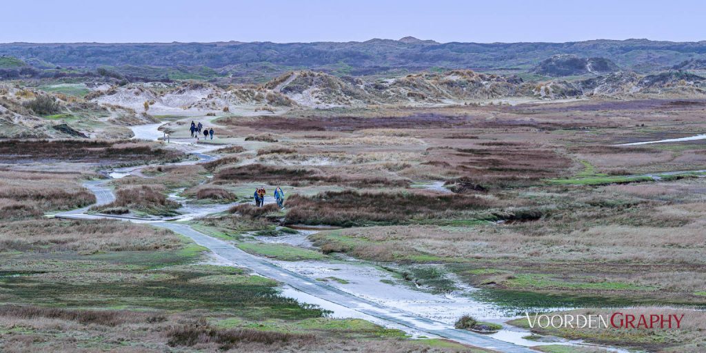 Texel