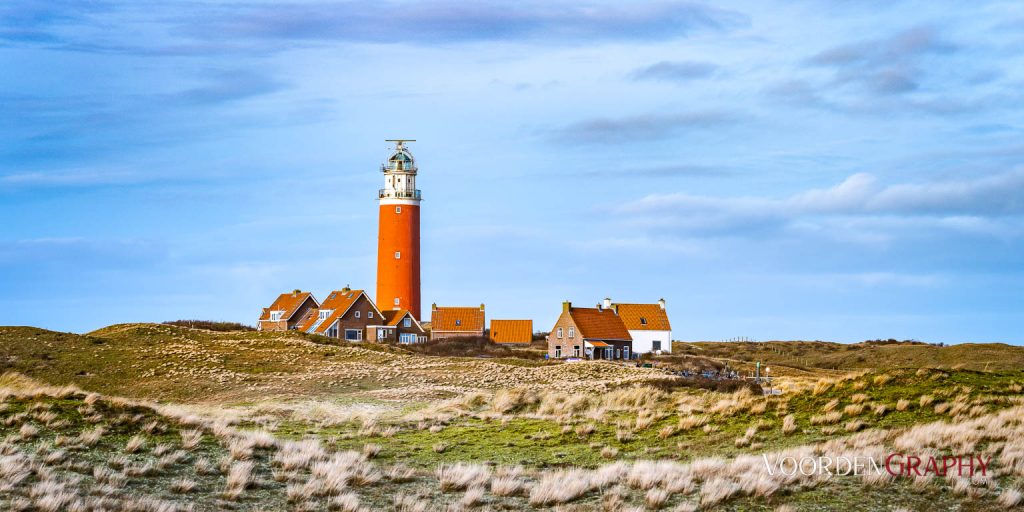 Texel