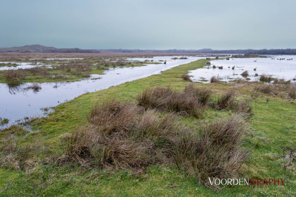 Texel