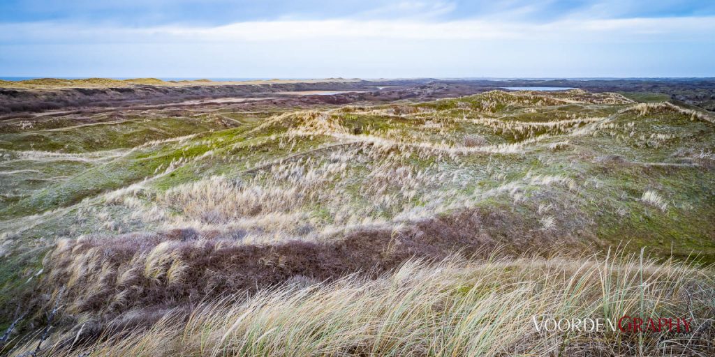 Texel
