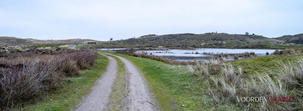 Texel