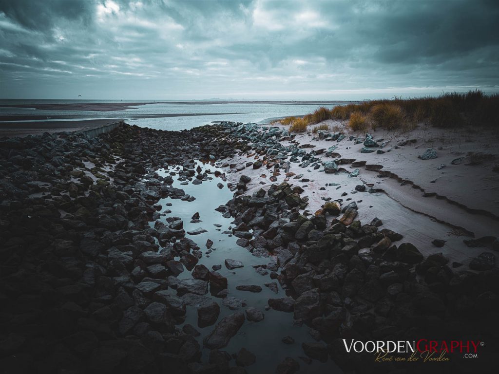 Texel