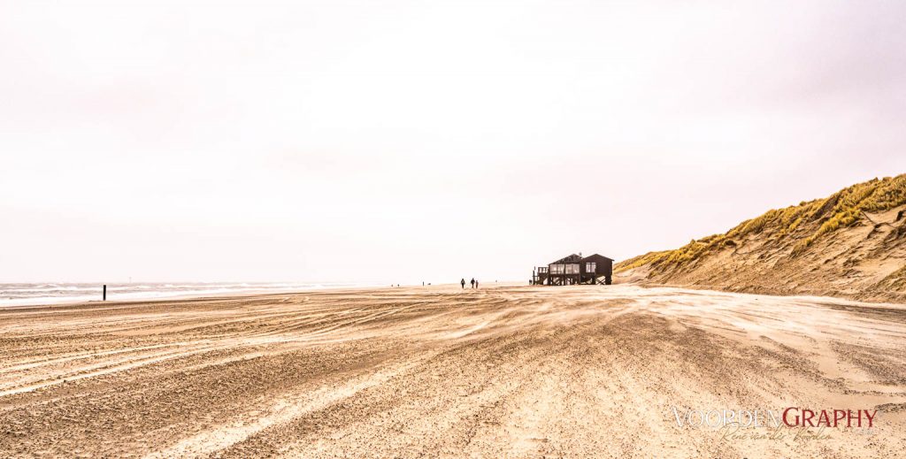 Texel