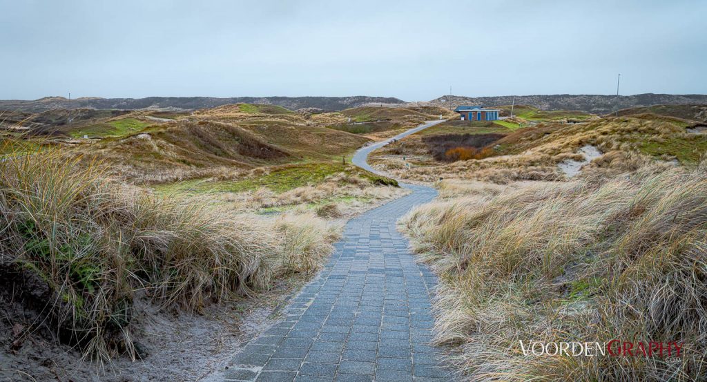 Texel