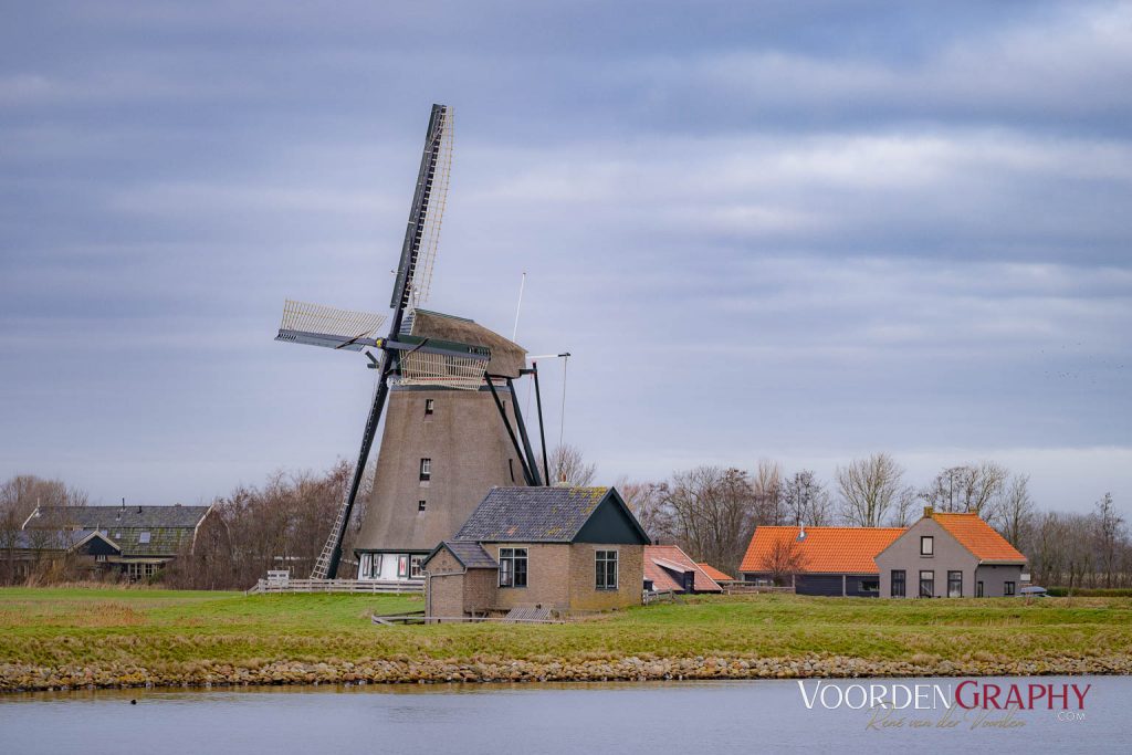 Texel