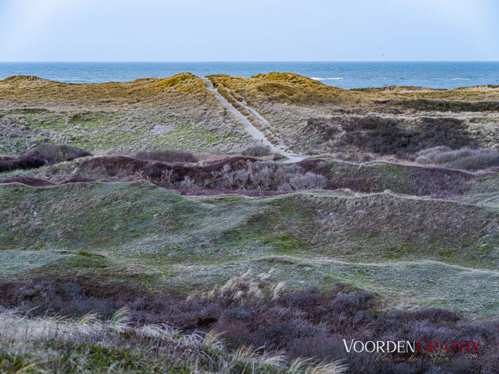 Texel