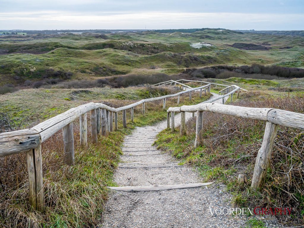 Texel