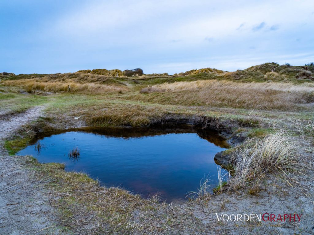 Texel