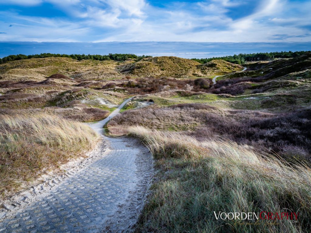 Texel