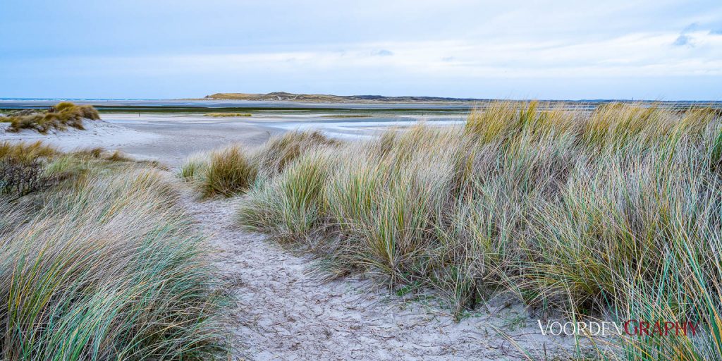 Texel