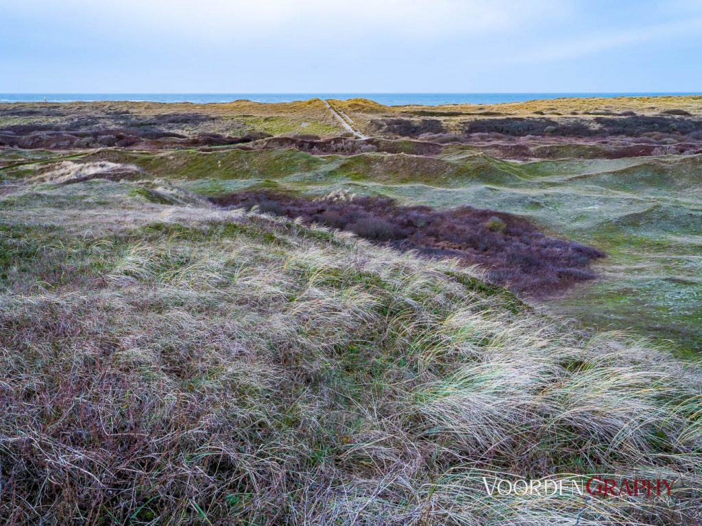 Texel