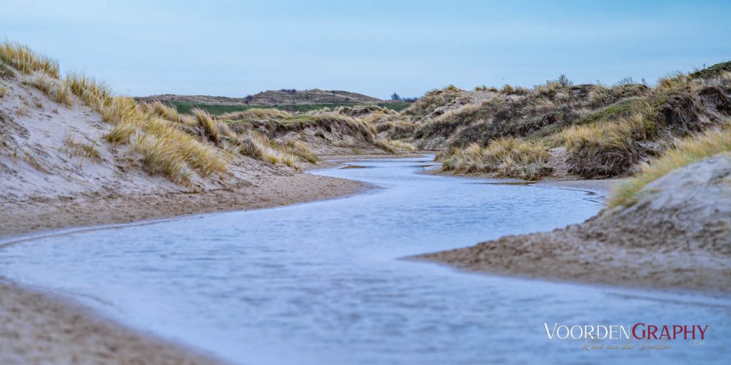 Texel