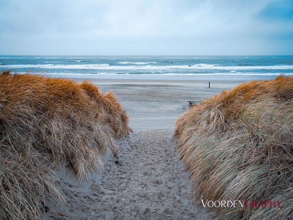 Texel