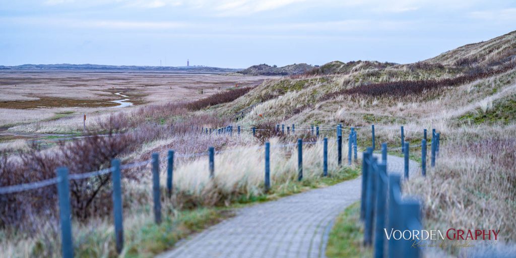 Texel