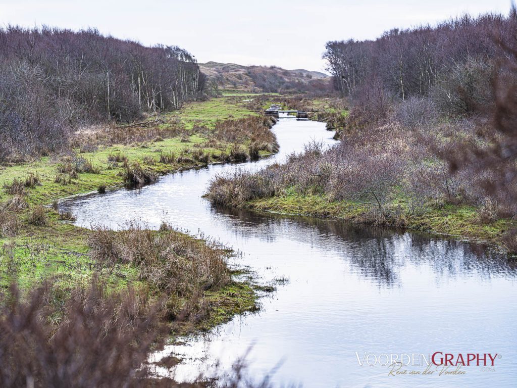 Texel