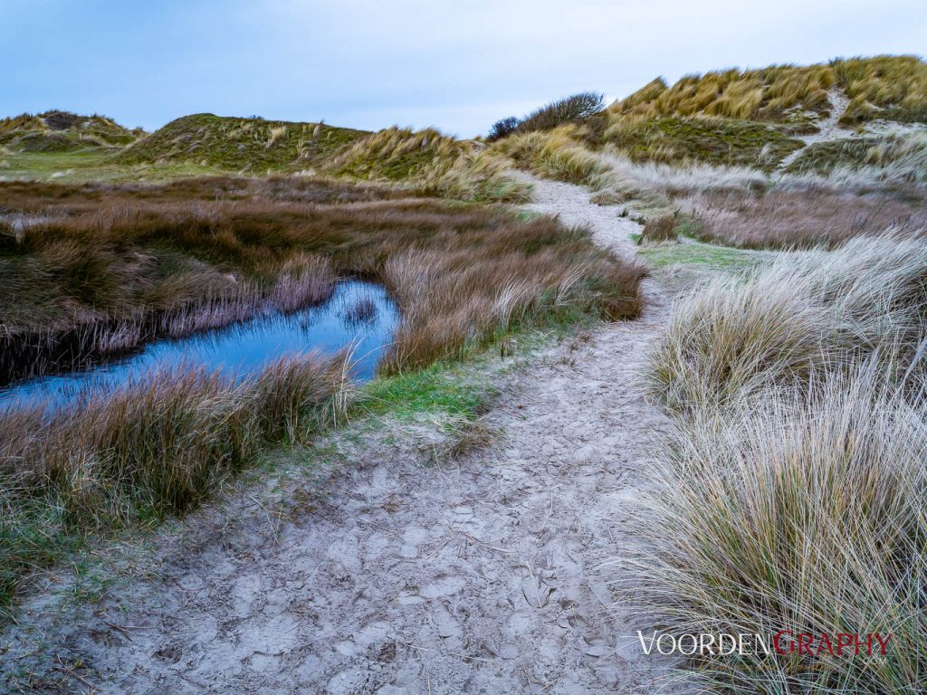 Texel