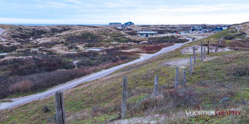 Texel