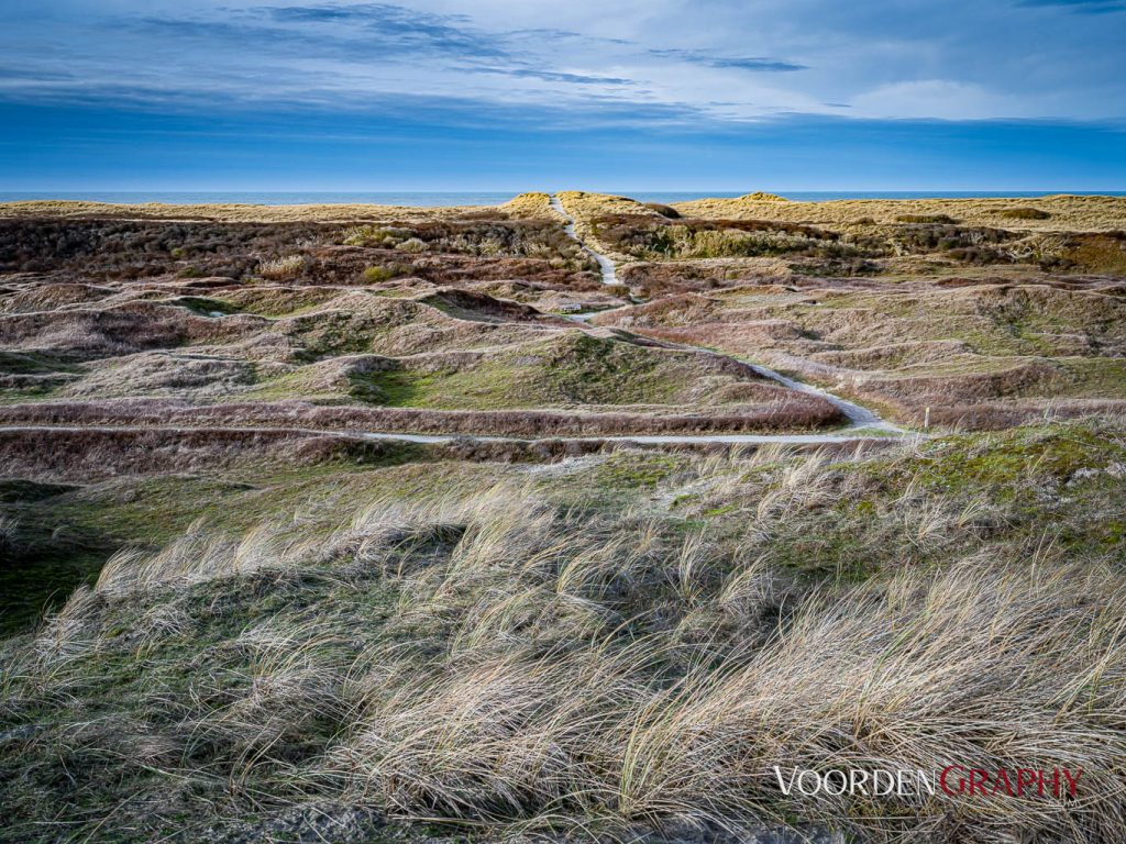 Texel