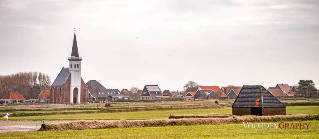 Texel