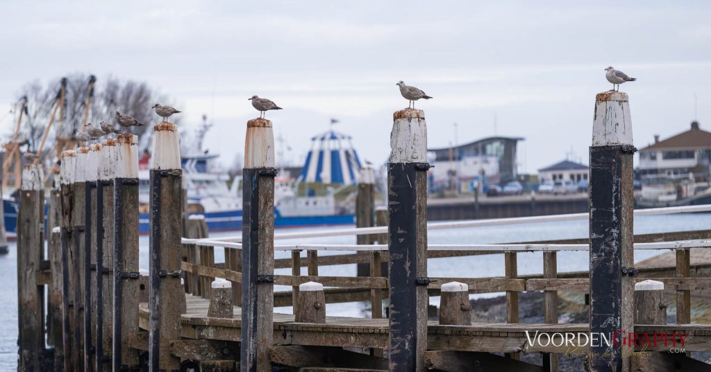 Texel
