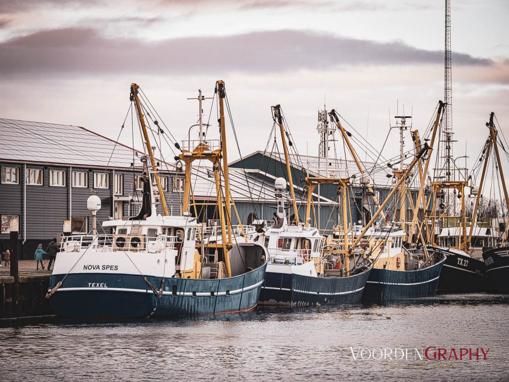 Texel