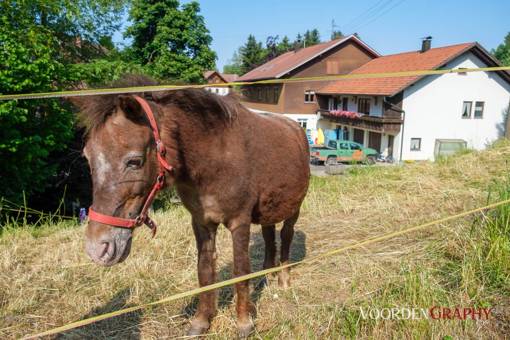 2023 Radrunde Allgäu