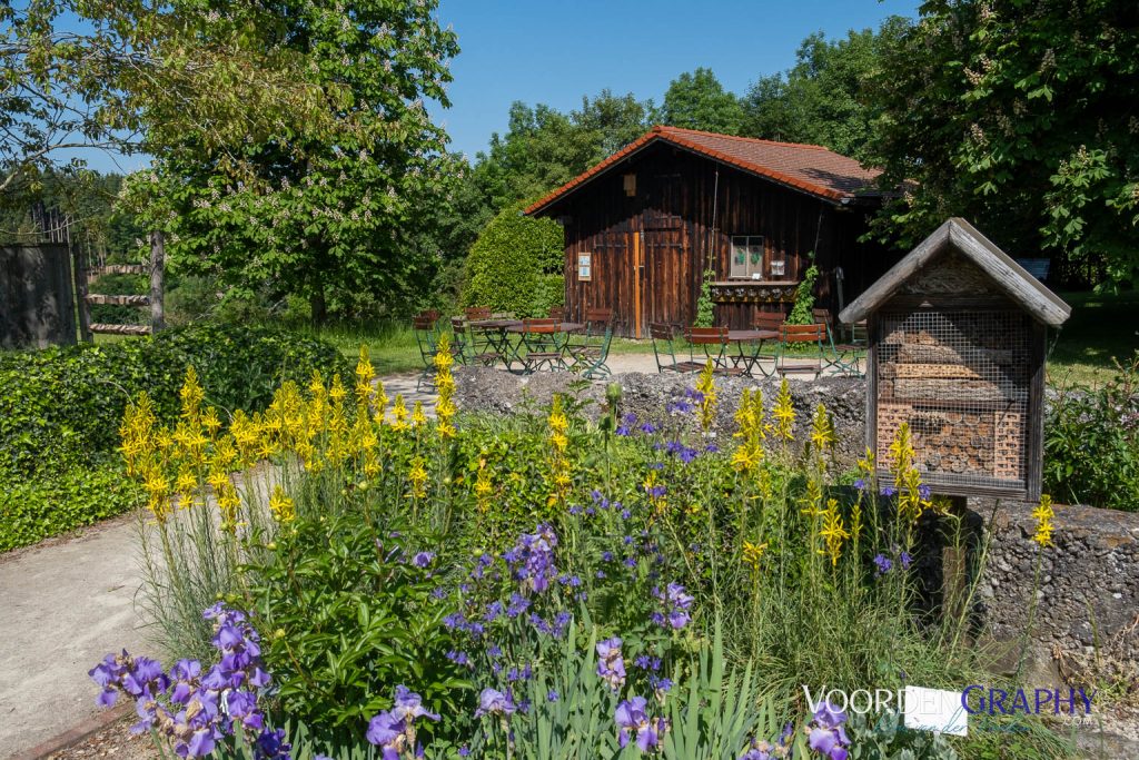 2023 Radrunde Allgäu