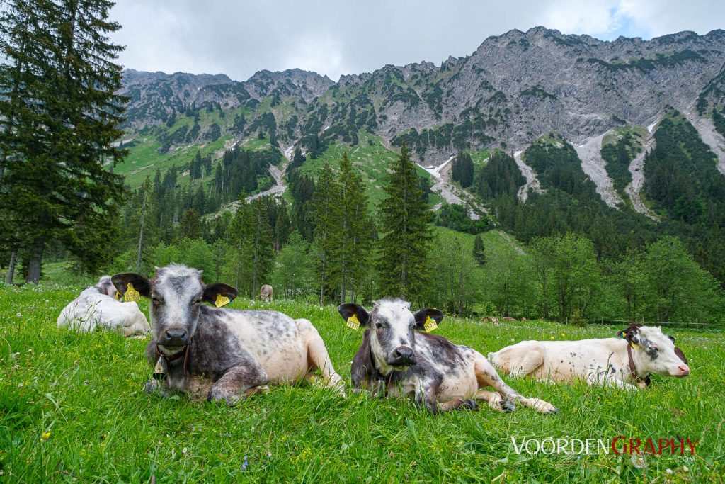 2023 Radrunde Allgäu