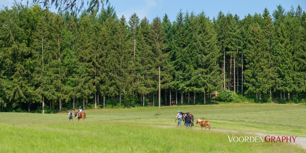 2023 Radrunde Allgäu