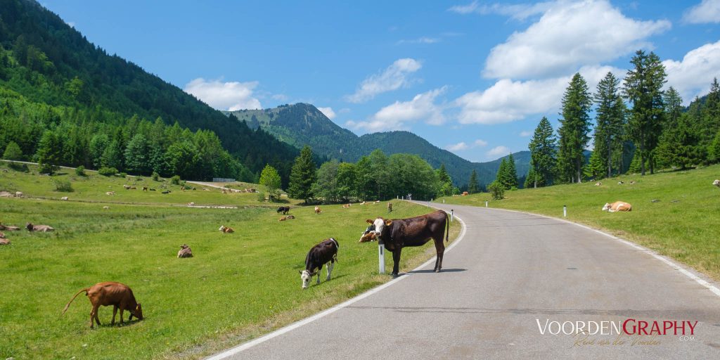 2023 Radrunde Allgäu