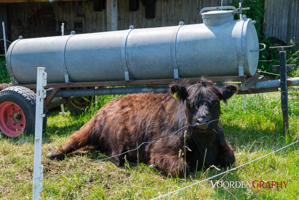 2023 Radrunde Allgäu