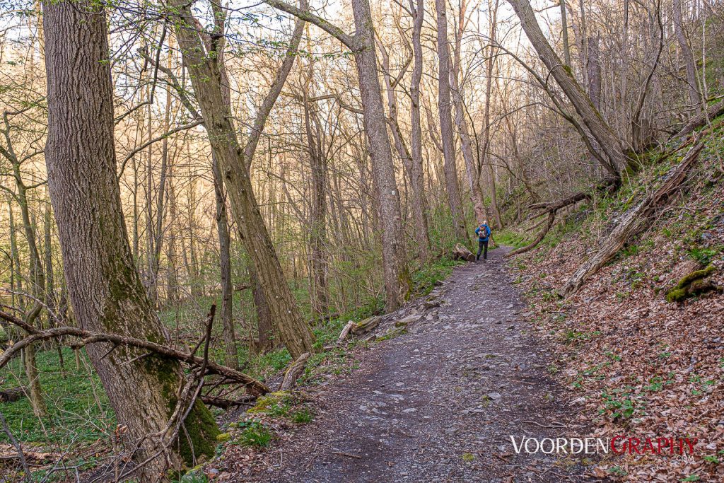 2024 Bodetal-Wanderung von Treseburg nach Thale
